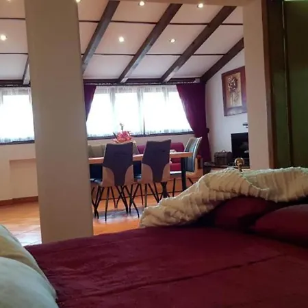 Alenka - One Bedroom Rovinj